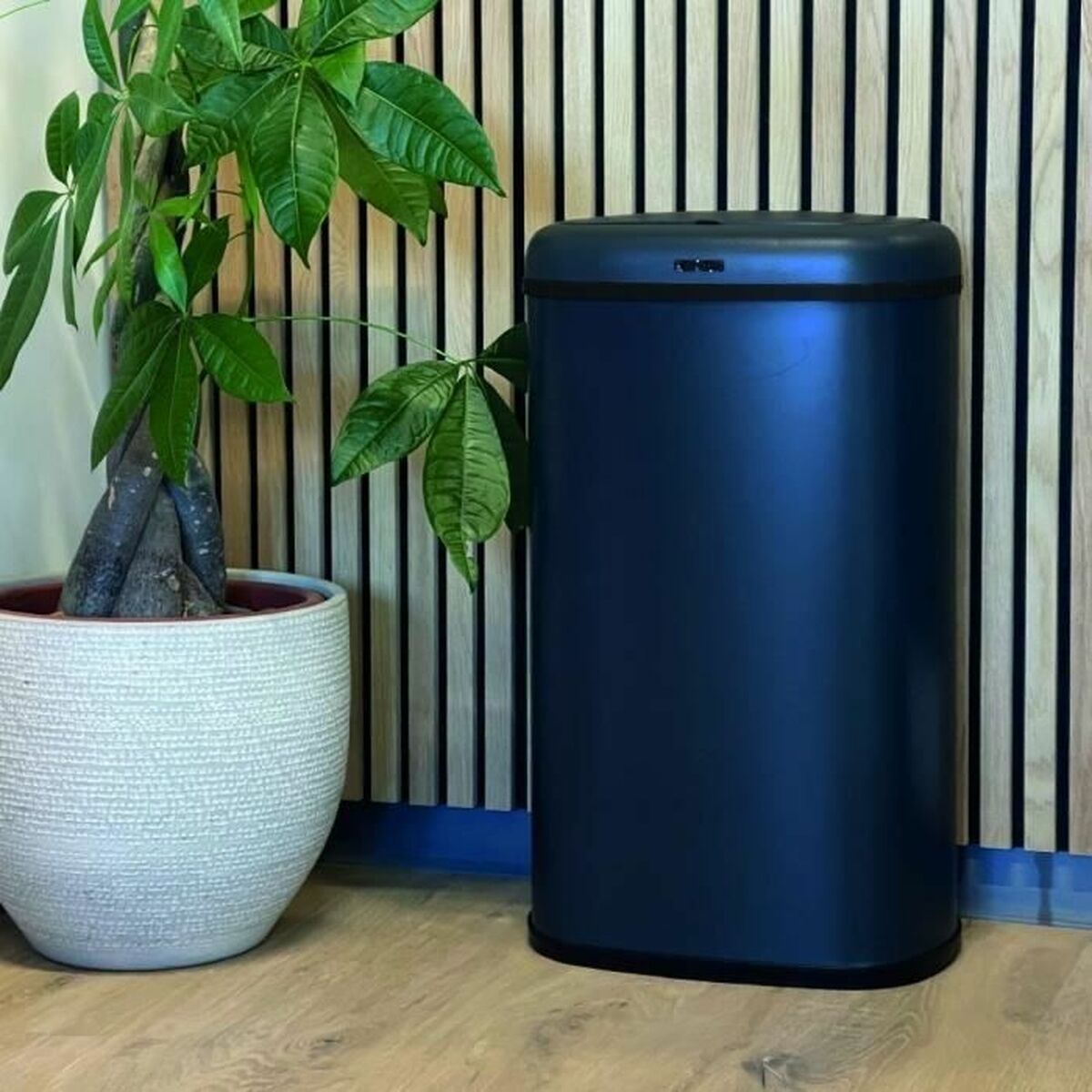 V6HFBCCCE22BB8E7DE09FA4A7AA6F56049FR5567650P5