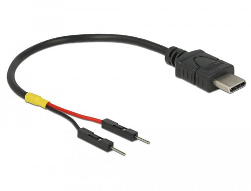 Delock Cable Power USB C a 2X Connector Male Poste Einzeln 10CM — image 1