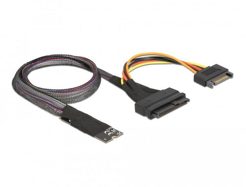 Delock Adapter M.2 Key M a U.2 SFF-8639 NVMe With Cable 50CM — image 1