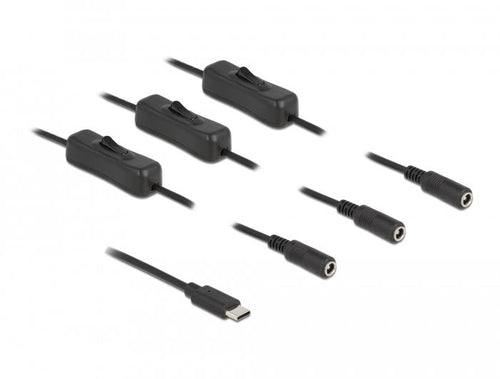 Delock USB Cable Type-c™ Connector Male a 3 X DC 5,5 X 2,1MM Connector Female With Switch 1M — image 1
