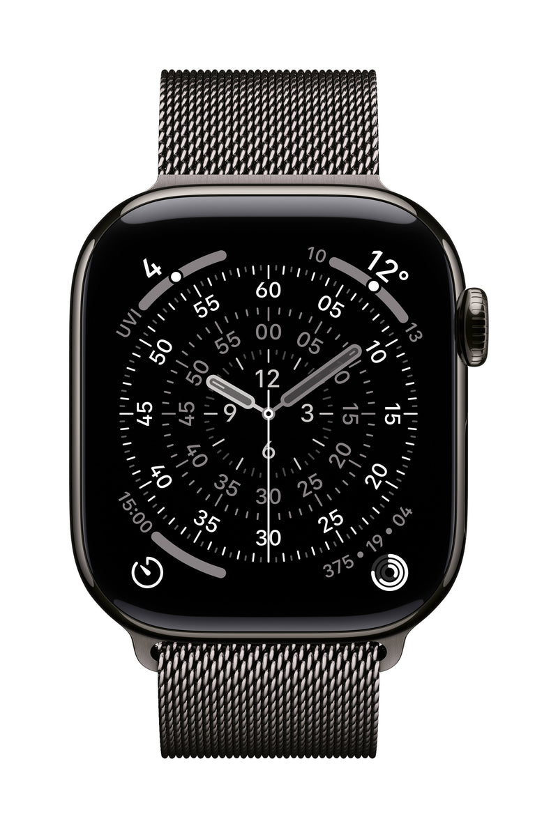 Apple 42MM Slate Milanese Loop