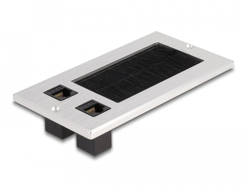 Delock Pasacables With Brush And 2 X RJ45 Keystone Módulo CAT.6 Aluminium — image 1