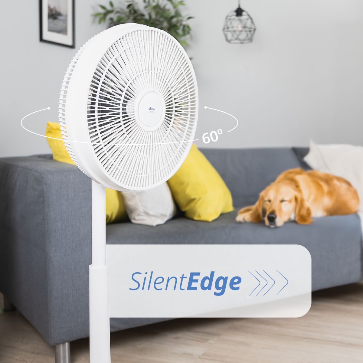 V2H50DB335605323013CEDC83915B1325ACR7813719P2