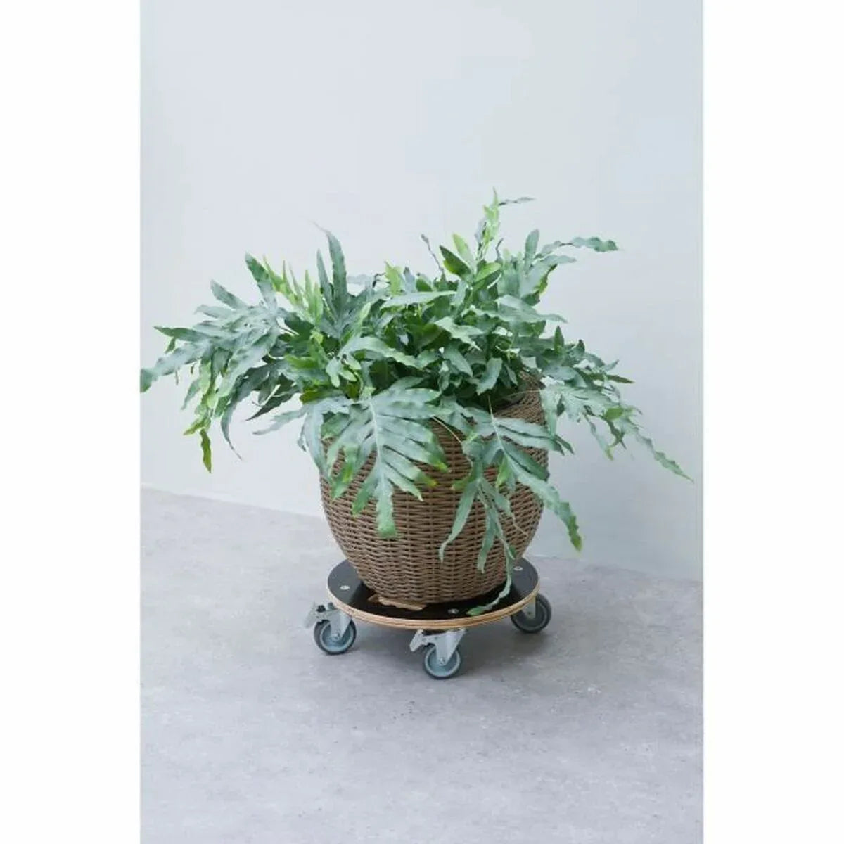 V5HBAFB39A69FBD93C0B691FDCC11D036AER6685373P2