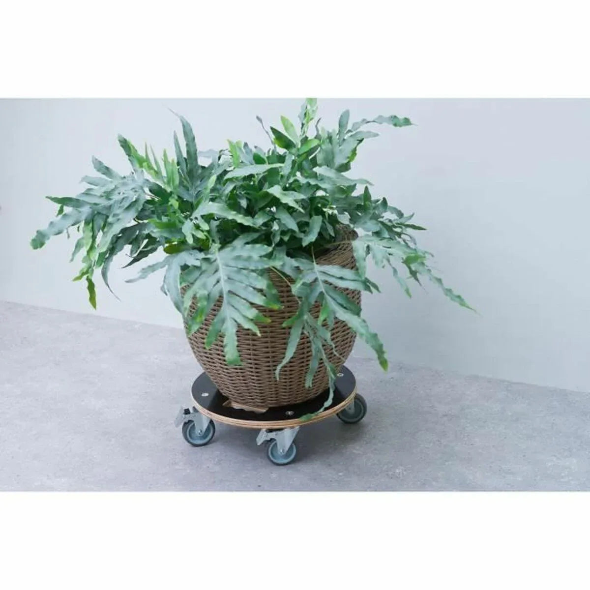 V5H5A6614196C147865D8C26CE22D9CEADBR6685374P3