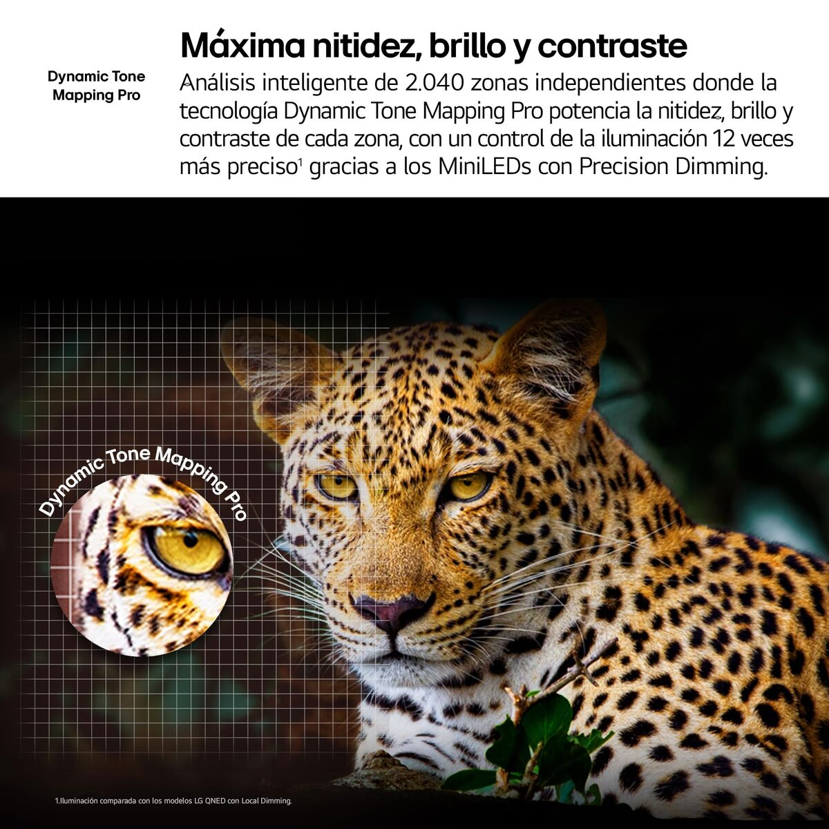 V2H1F3B5BB85CAD90E4CA71ADF565FEA7EER7808804P8