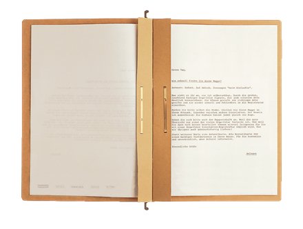 Leitz Alpha Ring Binder Colgante Kaufmännische Heftung Din A4 Naturbraun — image 1