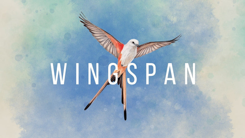 Set Wingspan Special Edition Switch