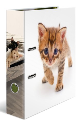 Herma Ring Binder A4 Cartón Katze — image 1