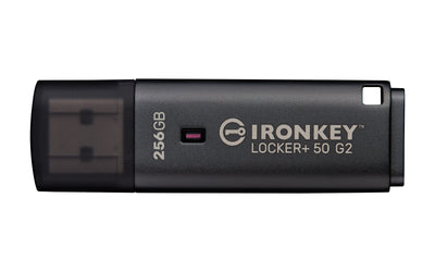 Kingston Memory Drive Flash USB 3.2/256GB IKLP50G2/256GB — image 1