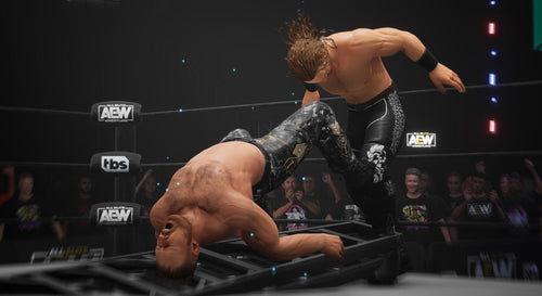 All Elite Wrestling Fight Forever — image 1