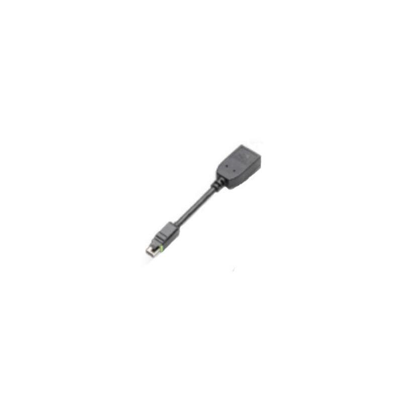 Pny Qsp-minidp/DPV3 Adapter Mini-dp Auf DP